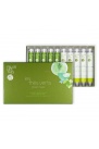 Coffret Thés Verts Sélection